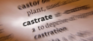 shutterstock_152887133-890x395_c